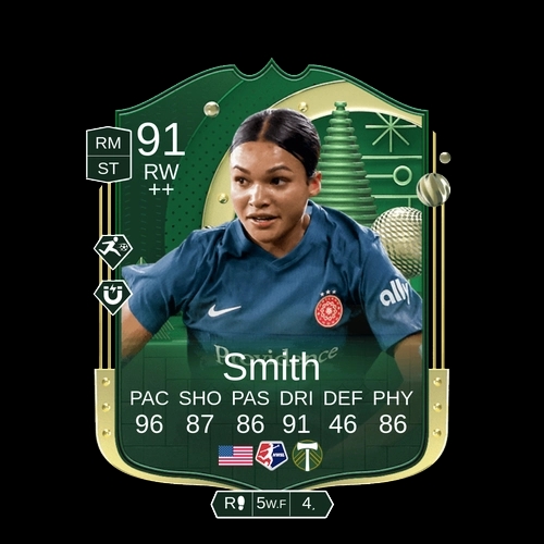 Smith RW Winter Wildcard 91