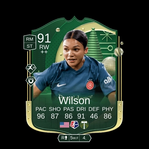 Wilson RW Winter Wildcard 91