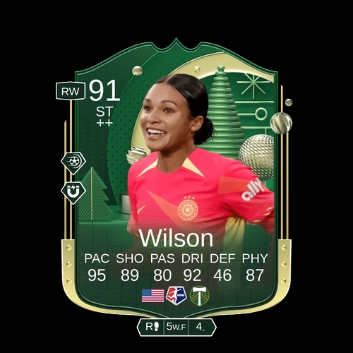 Wilson ST Winter Wildcard 91