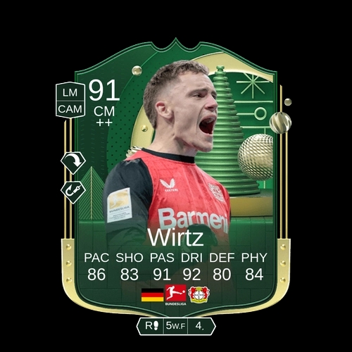 Wirtz CM Winter Wildcard 91