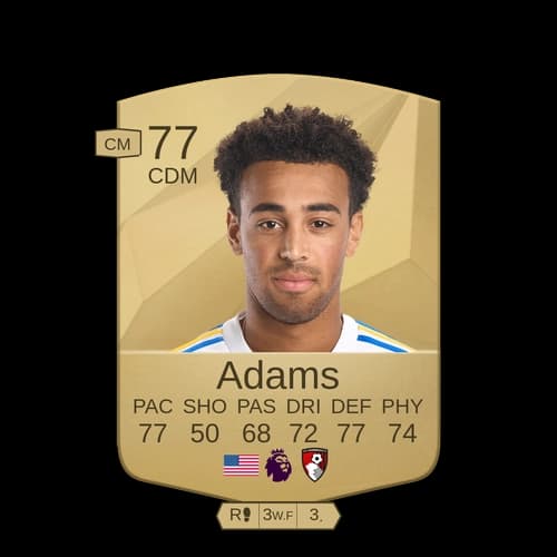 الي آدامز CDM عادي 77