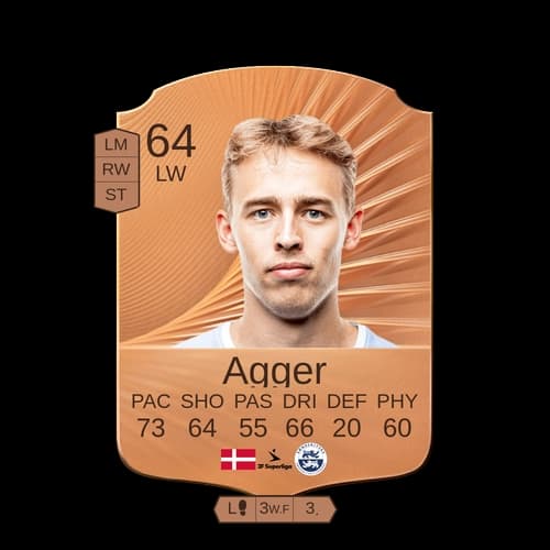 مادس أجمير LW نادر 64