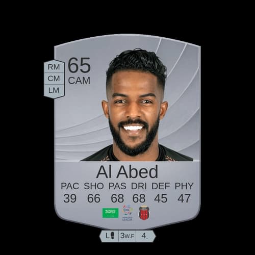 نواف العابد CAM عادي 65