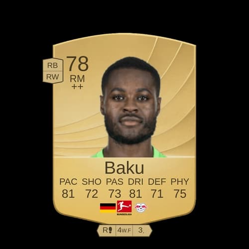 ريدلي باكو RM عادي 78