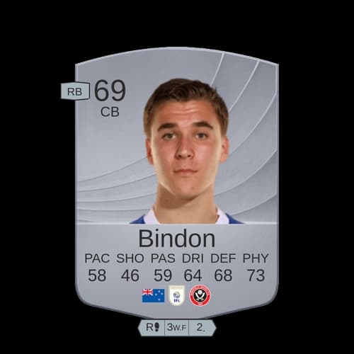 Bindon CB - 69