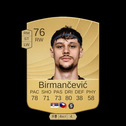 فلجكو بيرمانتشيفيتش RW - 76