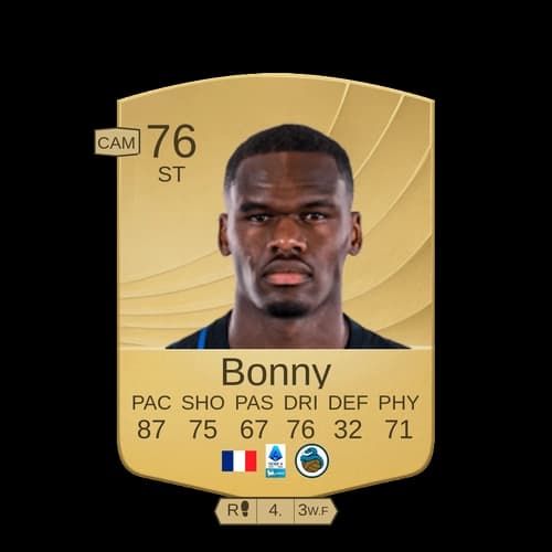 يوان بوني عادي ST 76 rated