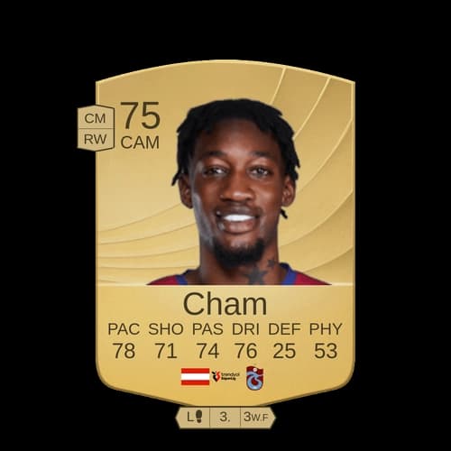 Cham CAM عادي 75