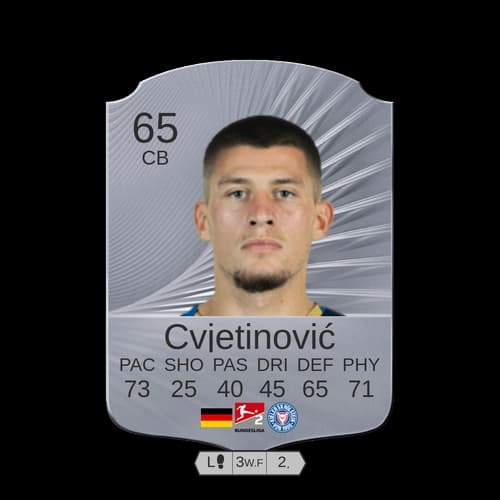 Cvjetinovic CB Rare 65