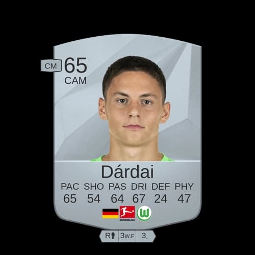 Dardai CAM Common 65