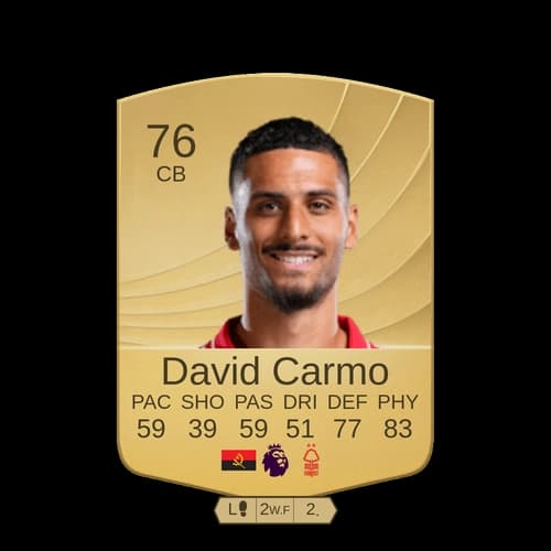 ديفيد موتا تيشيرا كرمو CB عادي 76