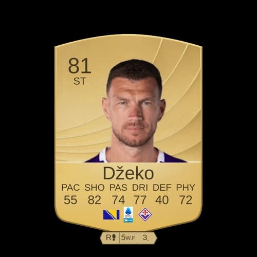 إدين دزيكو ST - 81