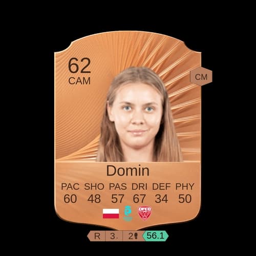 Domin CAM نادر 62