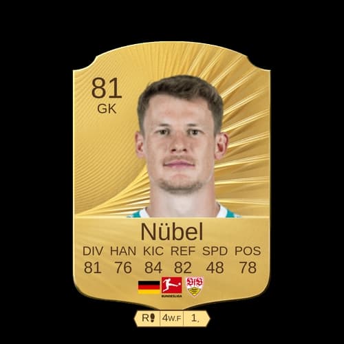 آدين فلين CDM - 81