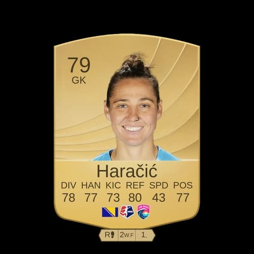 ديدي هراجيش GK - 79