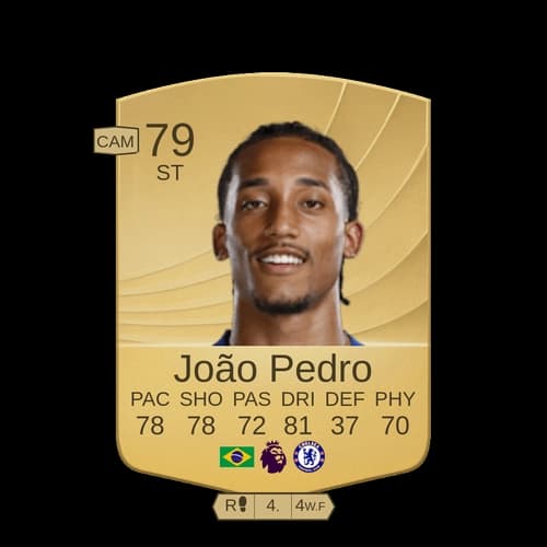 جواو بيدرو ريجينالدو ST عادي 79