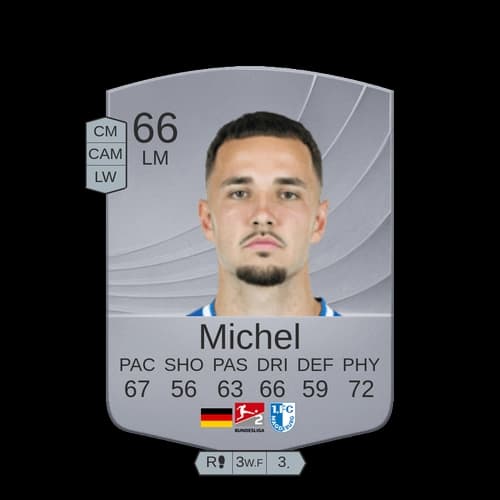 فالكوم ميشيل LM عادي 66