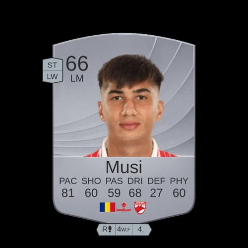 ميكول جوروغول LM عادي 66