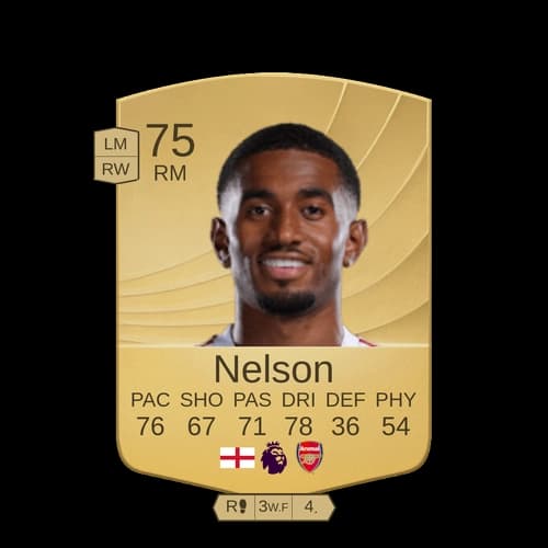 كيرتس نيلسون RM عادي 75