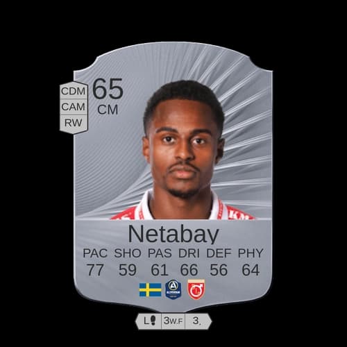 Netabay CM نادر 65