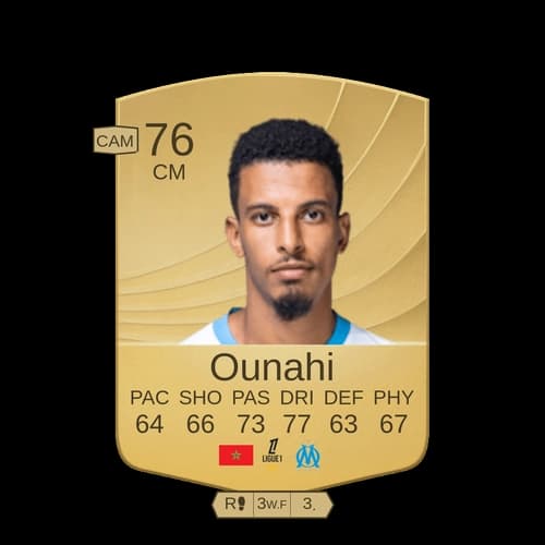 أسد الدين عُنَاحي CM عادي 76