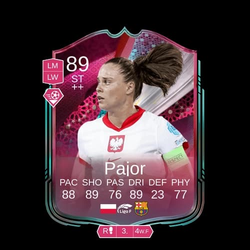 Pajor ST Globetrotters 89