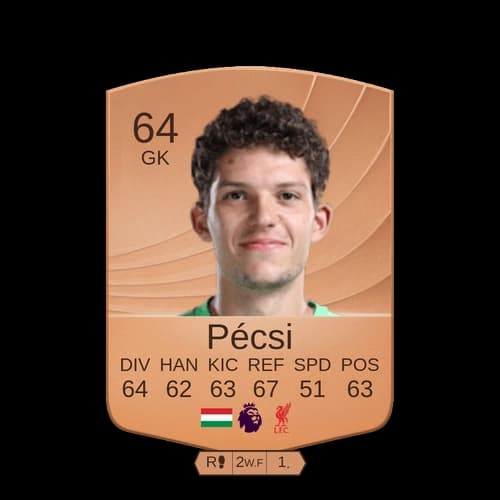 آرمن بيكسي GK عادي 64