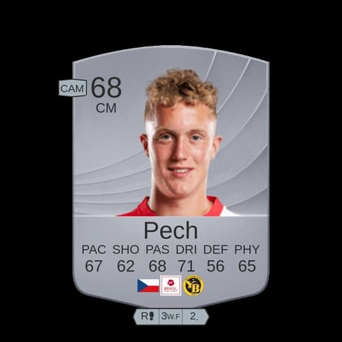 دومينيك بيتش CM عادي 68