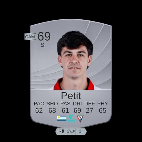 Petit ST عادي 69