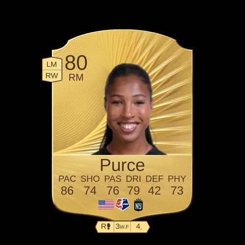 Purce RM - 80