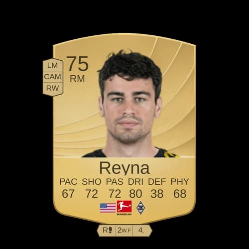 برايان رينا RM - 75