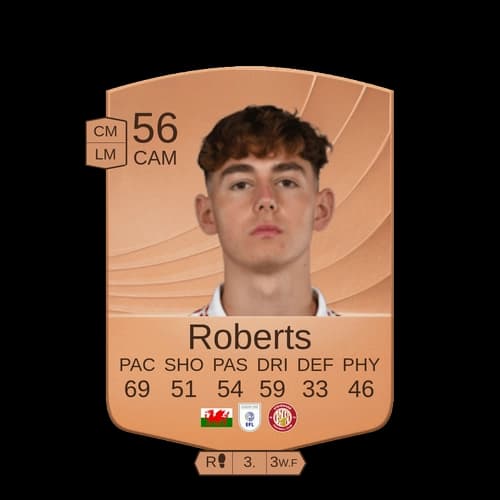 Roberts CAM عادي 56