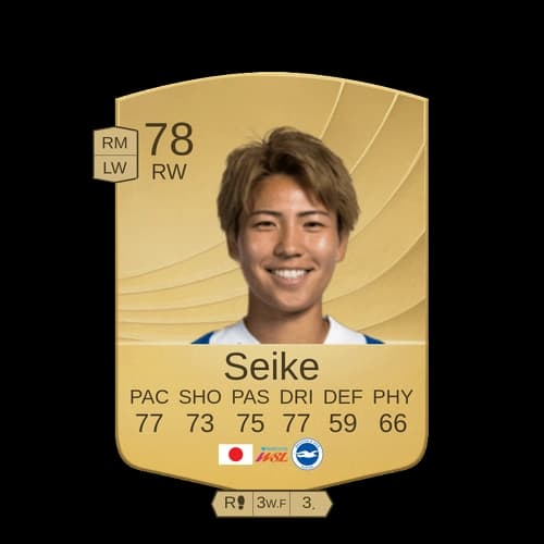 كيكو سيكي RW - 78