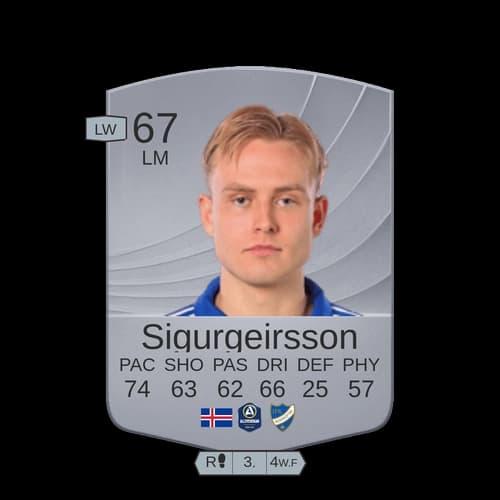 Sigurgeirsson LM Common 67