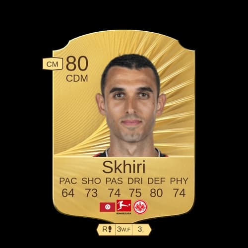 أيليز السكيري CDM - 80