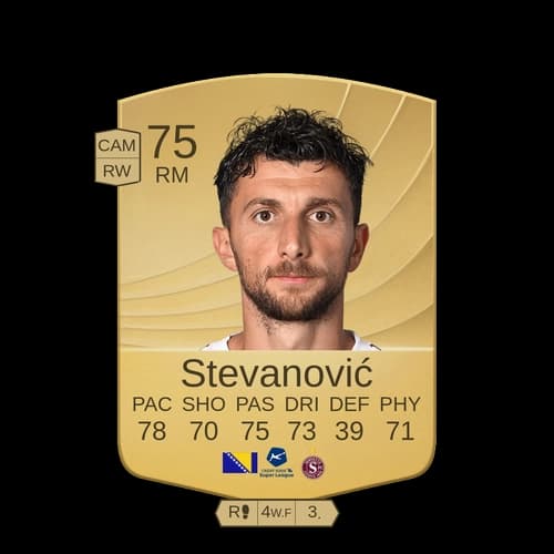 نيكولا ستيفانوفيتش RM - 75