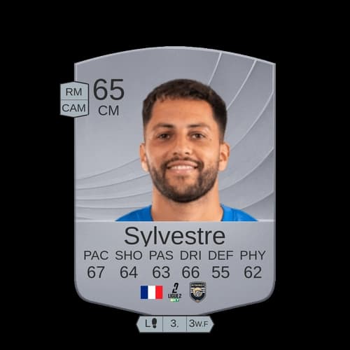Sylvestre CM عادي 65