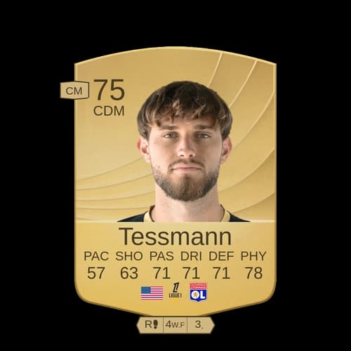 تانر تيسمان CDM - 75