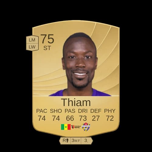 Thiam ST - 75