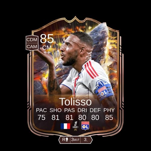 - CM Cornerstones 85