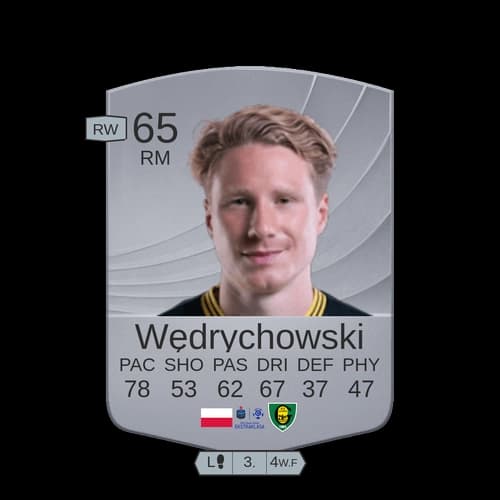 Wedrychowski RM عادي 65