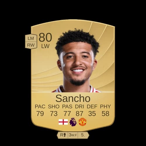 ميكول جوروغول LW عادي 80