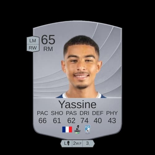 ميكول جوروغول RM عادي 65