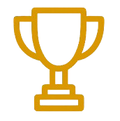 VIP Support icon